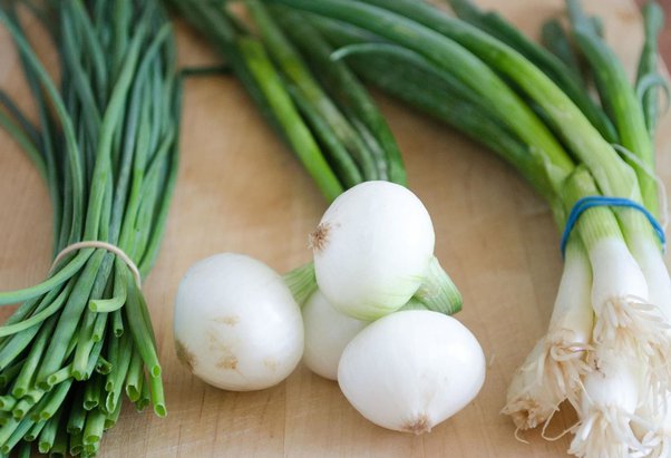 Spring Green Onions