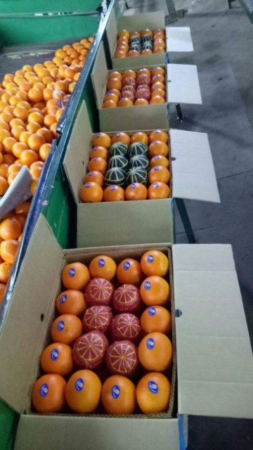 ORANGES